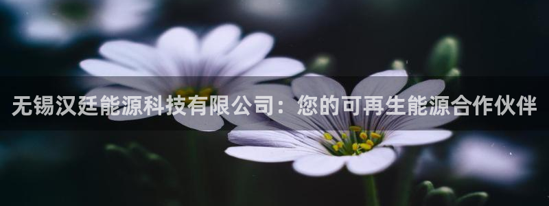 sunbet中国官网