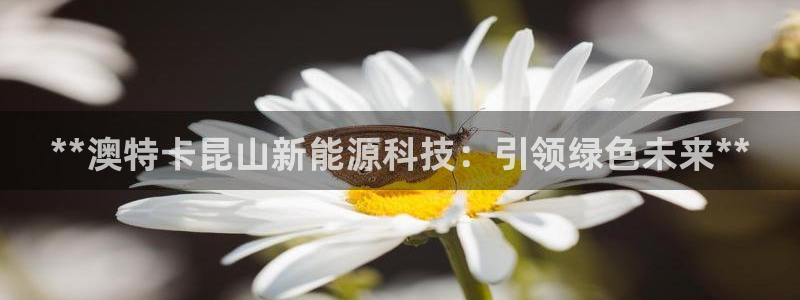 申慱sunbet版app