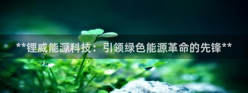 sunbet官网手机版