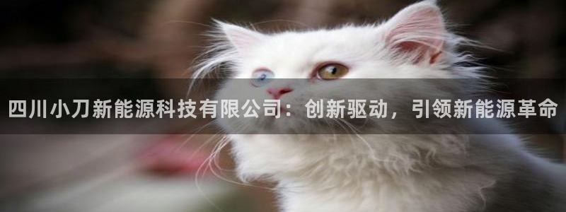 sunbething怎么读