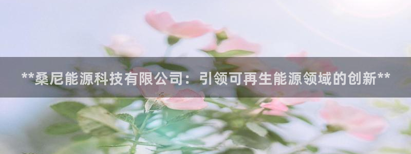 sunbet申搏平台