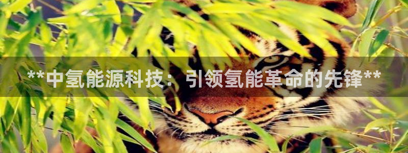 sunbet手机版登录
