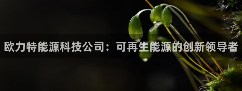sunbet燃气灶