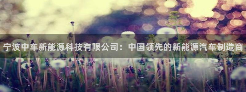 申博官方网站手机版下载