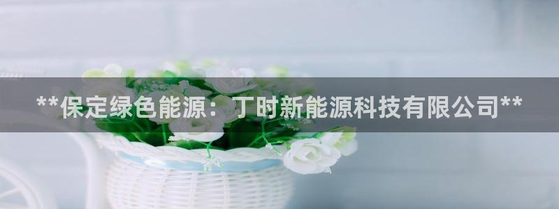 sunbet官网手机版登录