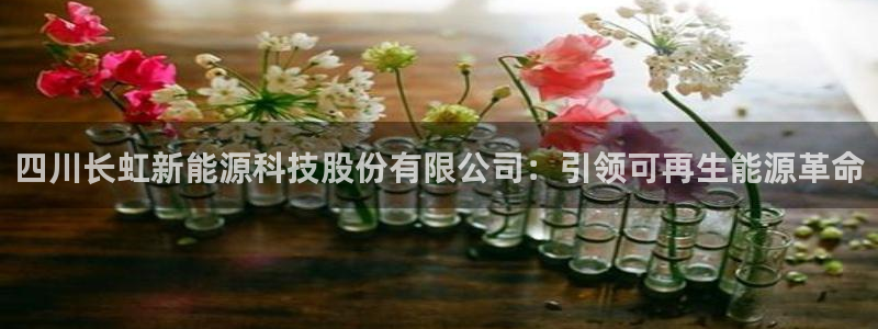 sunbet官网手机版登录