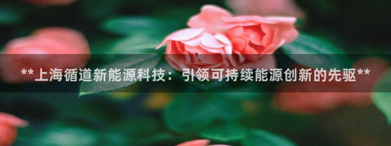 申博手机网址