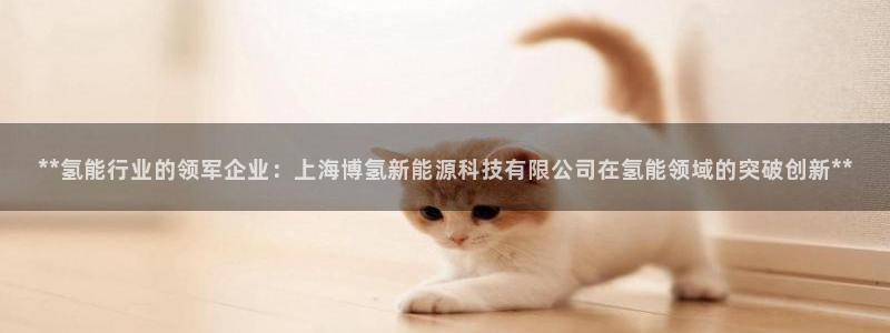 sunbet申搏官网