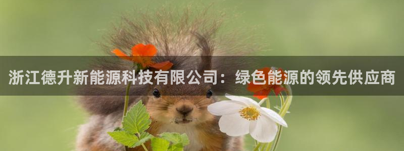 sunbet最新登陆