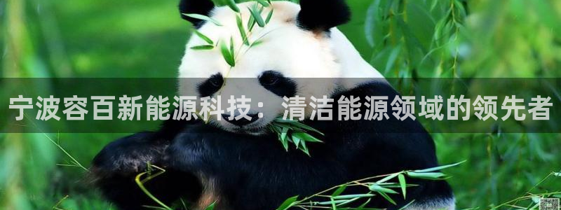 sunbet官网手机版登录