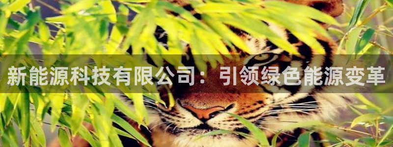 sunbet安卓下载