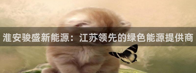 sunbet手机app版
