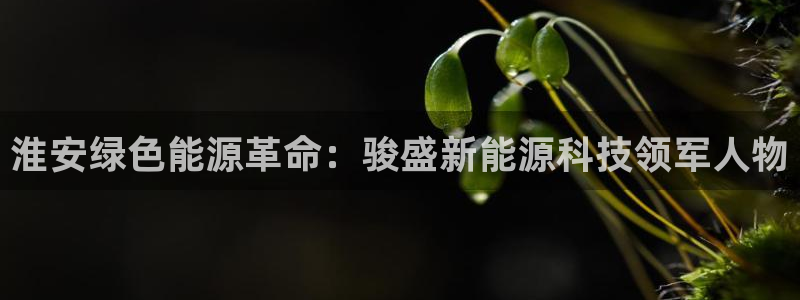 sunbet官网登录首页