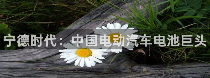 sunbething怎么读