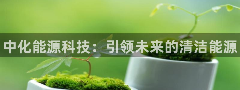sunbet手机版登录