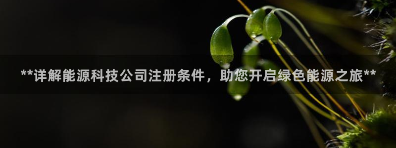 sunbet官网手机版登录