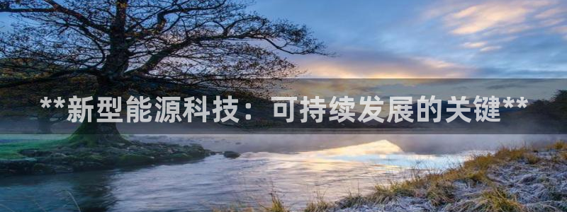 sunbet源码