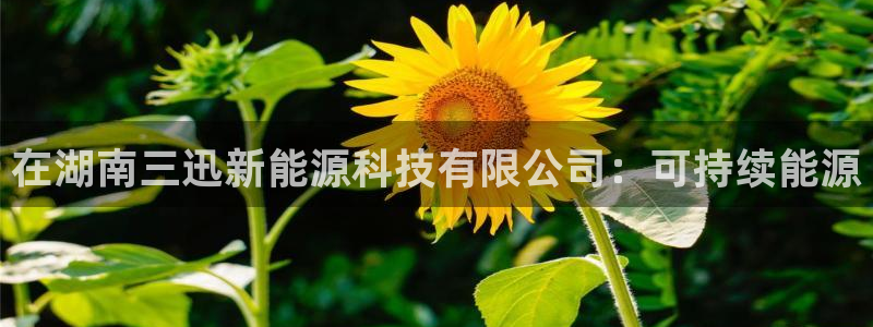 sunbet手机版官网下载