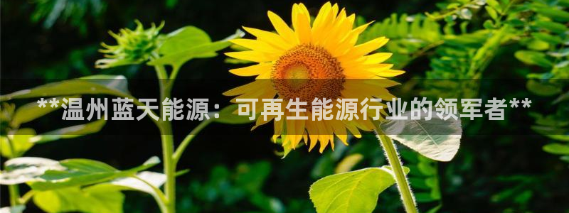 sunbet游戏官网