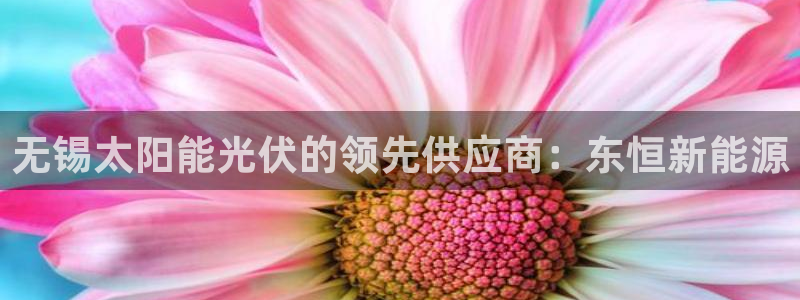 sunbet苹果官网下载
