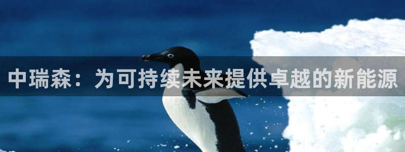 sunbet手机网页版本