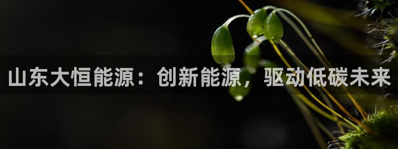 进入sunbet官网手机版登陆