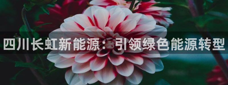 sunbet手机端