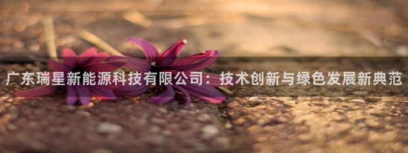 sunbet游戏网
