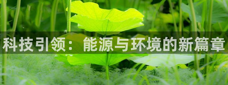 申博官方网站手机版下载