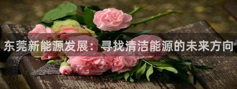 sunbet官网代理下载