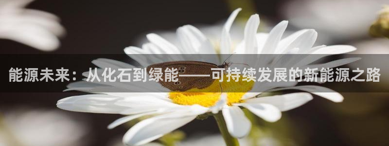 sunbet燃气灶