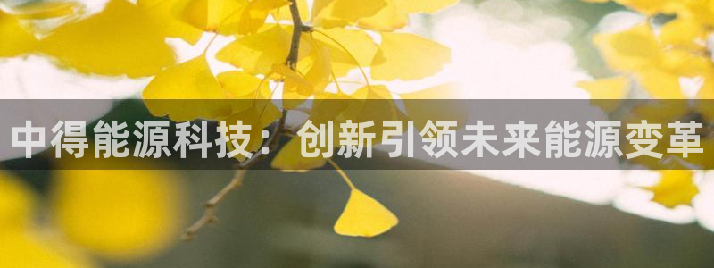 申博官网电脑版下载