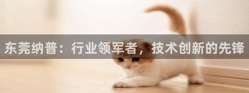 sunbet申搏官网