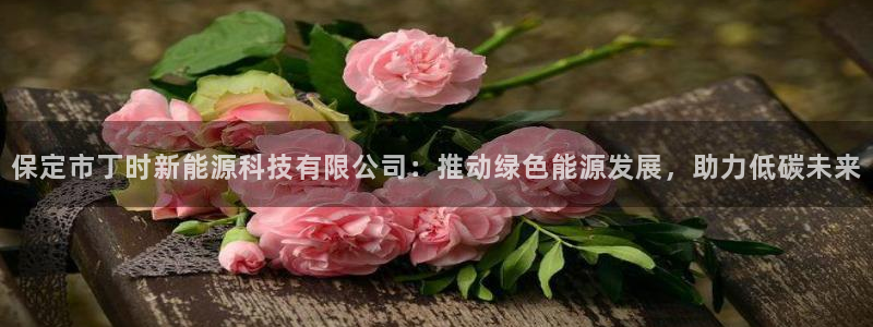 sunbet手机网页版本