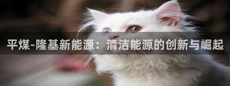 sunbet中国官网