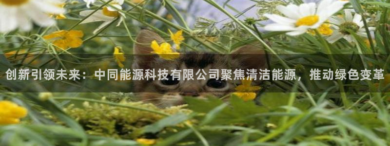 sunbet手机端