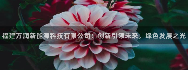sunbet苹果app