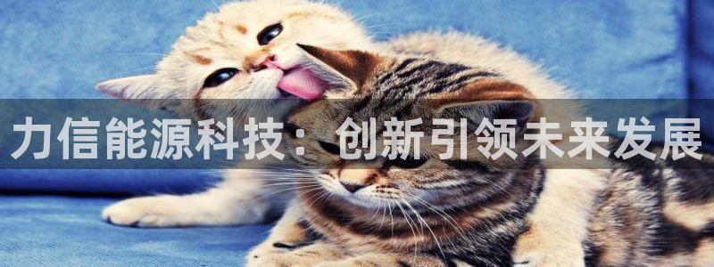 sunbet申搏地址