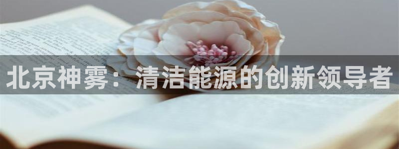 申博官方网站手机版下载