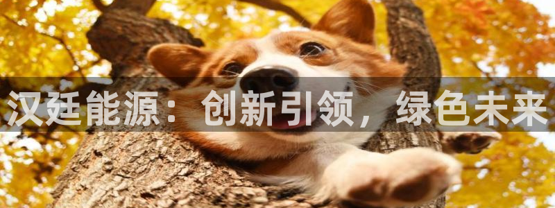 sunbet中国官网