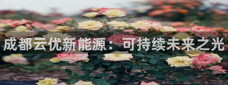 申博app下载