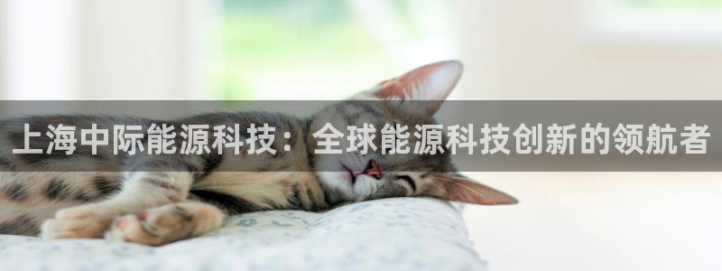 申慱sunbet手机版登