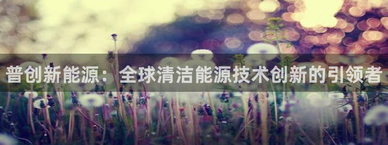 sunbet官网手机版登录