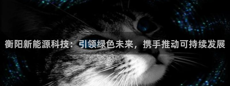 sunbet手机网页版下载