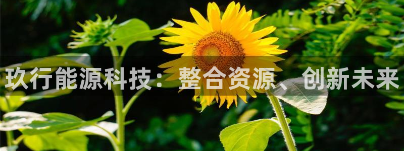 申博官方网址