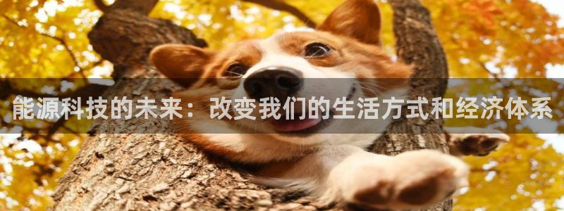 sunbet苹果官网下载