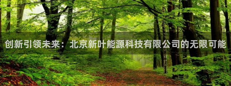 sunbet申搏app下载