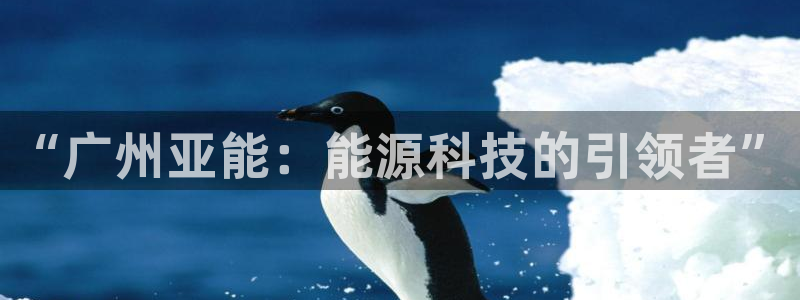 申慱sunbet版app