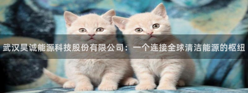 sunbet手机网页版