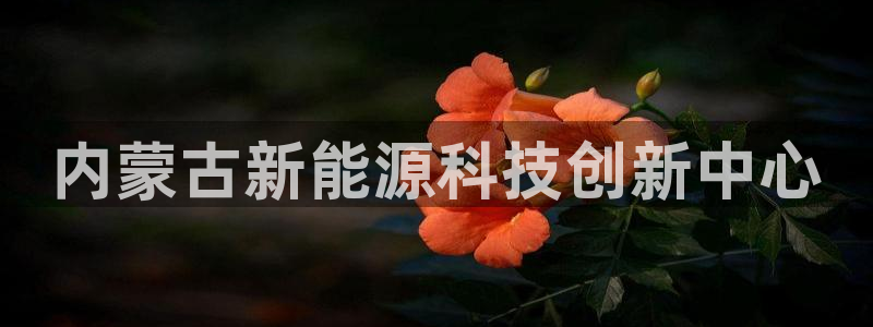 sunbet首页登录入口